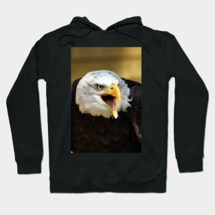 American Eagle Hoodie